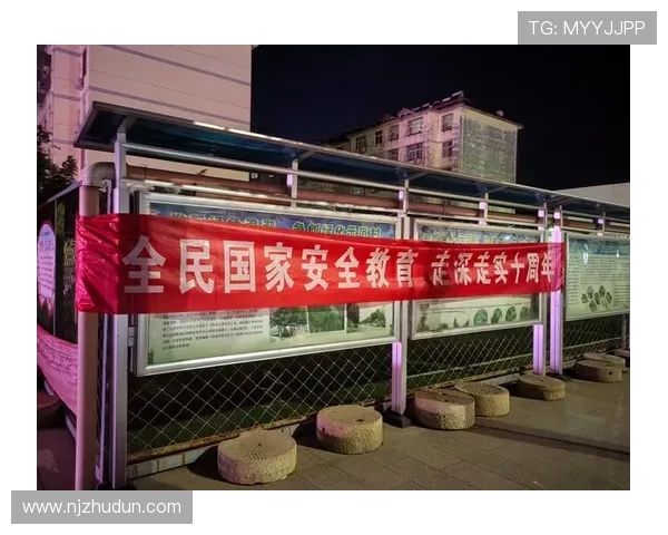 北京乒乓球队区域防守创新策略解析与实践成效探讨