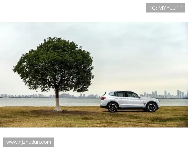 勇敢面对挑战足球明星与睾丸癌的抗争故事