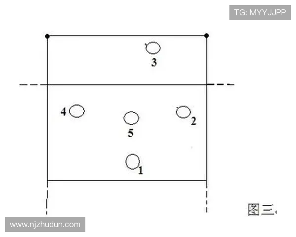 西安排球队如何通过战术创新实现进攻效率的全面提升与变革分析