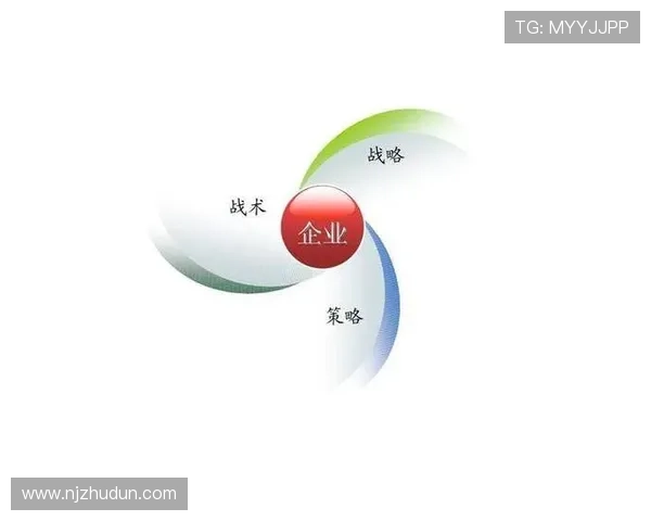 广州排球队的战术创新与运营体系探析