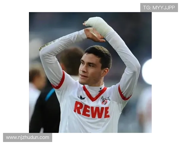 足球明星赫克托的传奇之路与影响力探讨